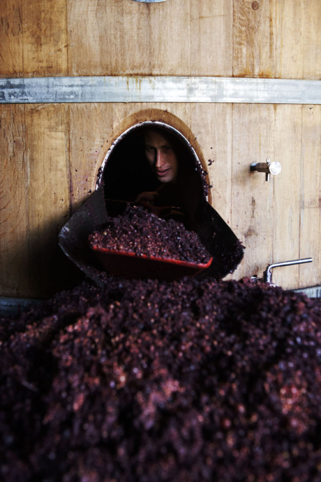 vignerons à Morgon Fronsac