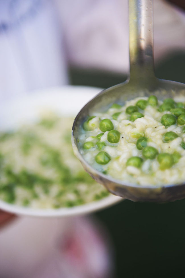 Gastronomie de la lagune de Venise