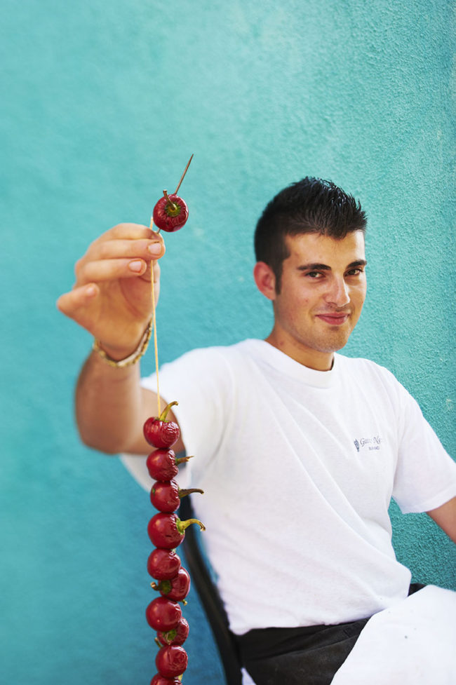 Gastronomie de la lagune de Venise