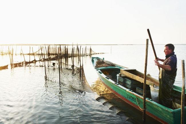 Gastronomie de la lagune de Venise